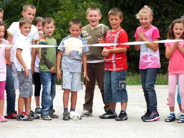 Progetto Strani Vari 2013