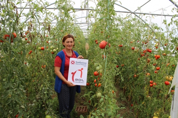 FAMILY GARDENS–MAINTENANCE OF GREENHOUSES AND SEEDLING PRODUCTION